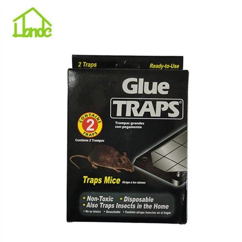 مصيدة الغراء الفعالة لمكافحة الحشرات