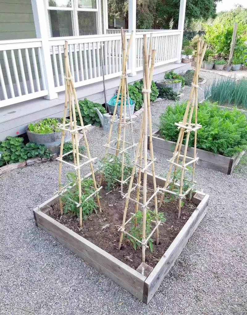 Tomato Ladders Tomato Ladders