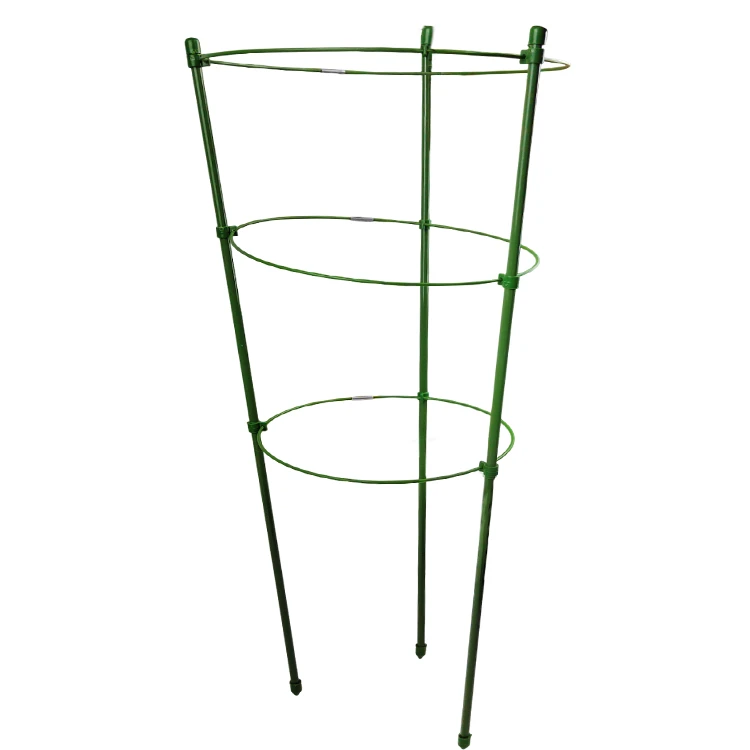 Plants Tomatoes Support Cages